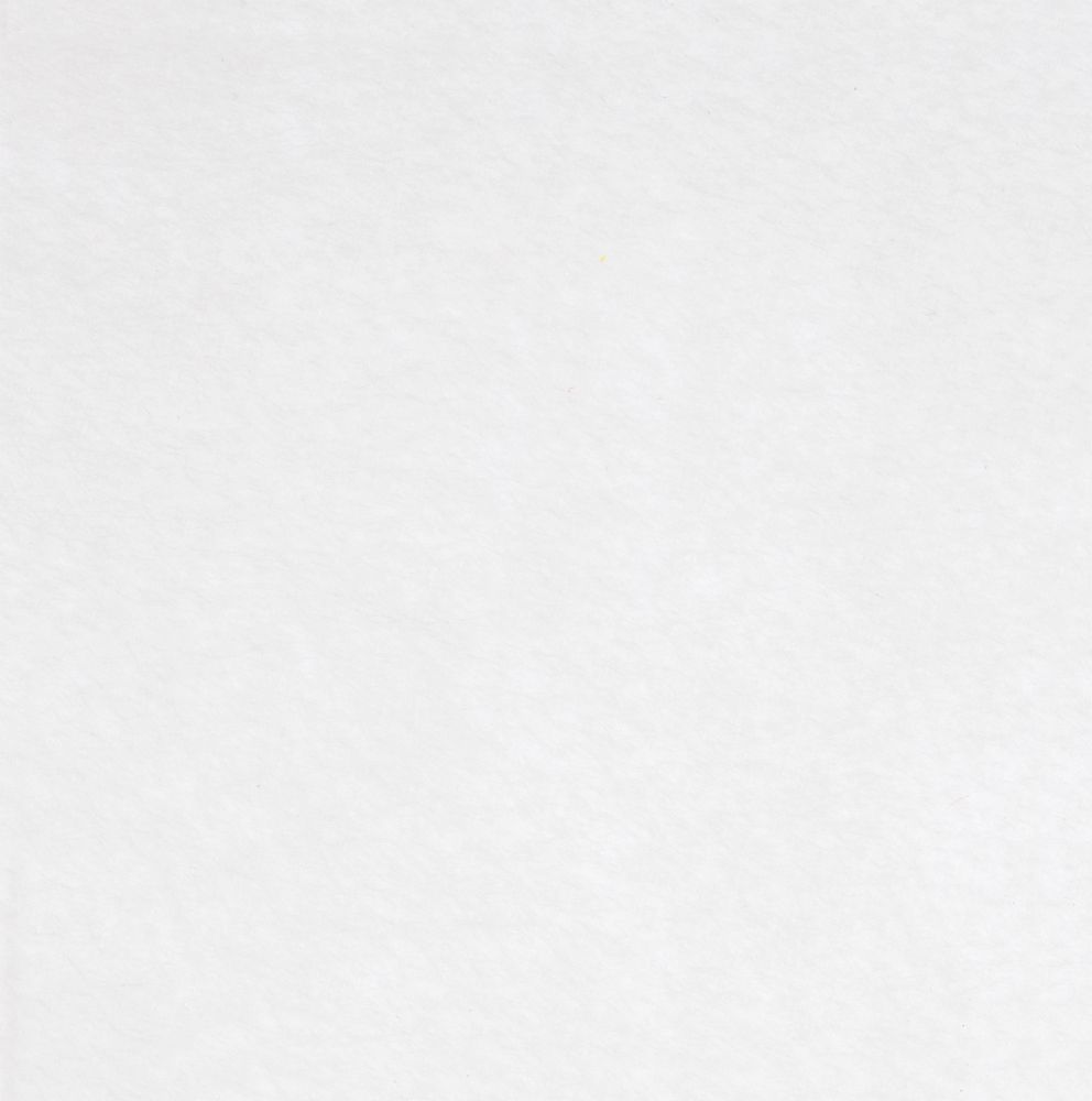 Заготовка из фетра Felt 300, белая